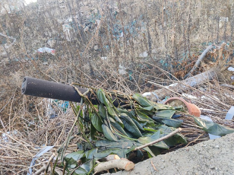 一门伪装得非常完美的炮（