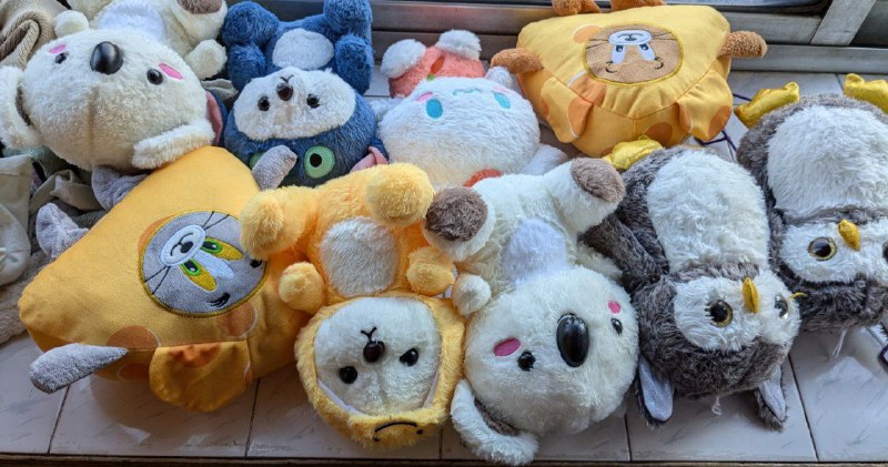 100个币抓了9个娃娃 望周知