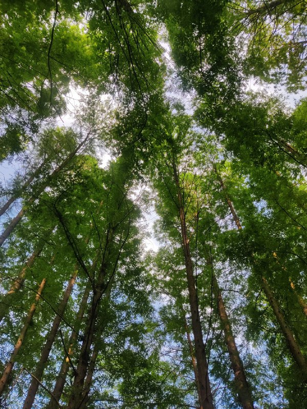 负重50斤快速拉高度，扎营躺了一下午，幸福